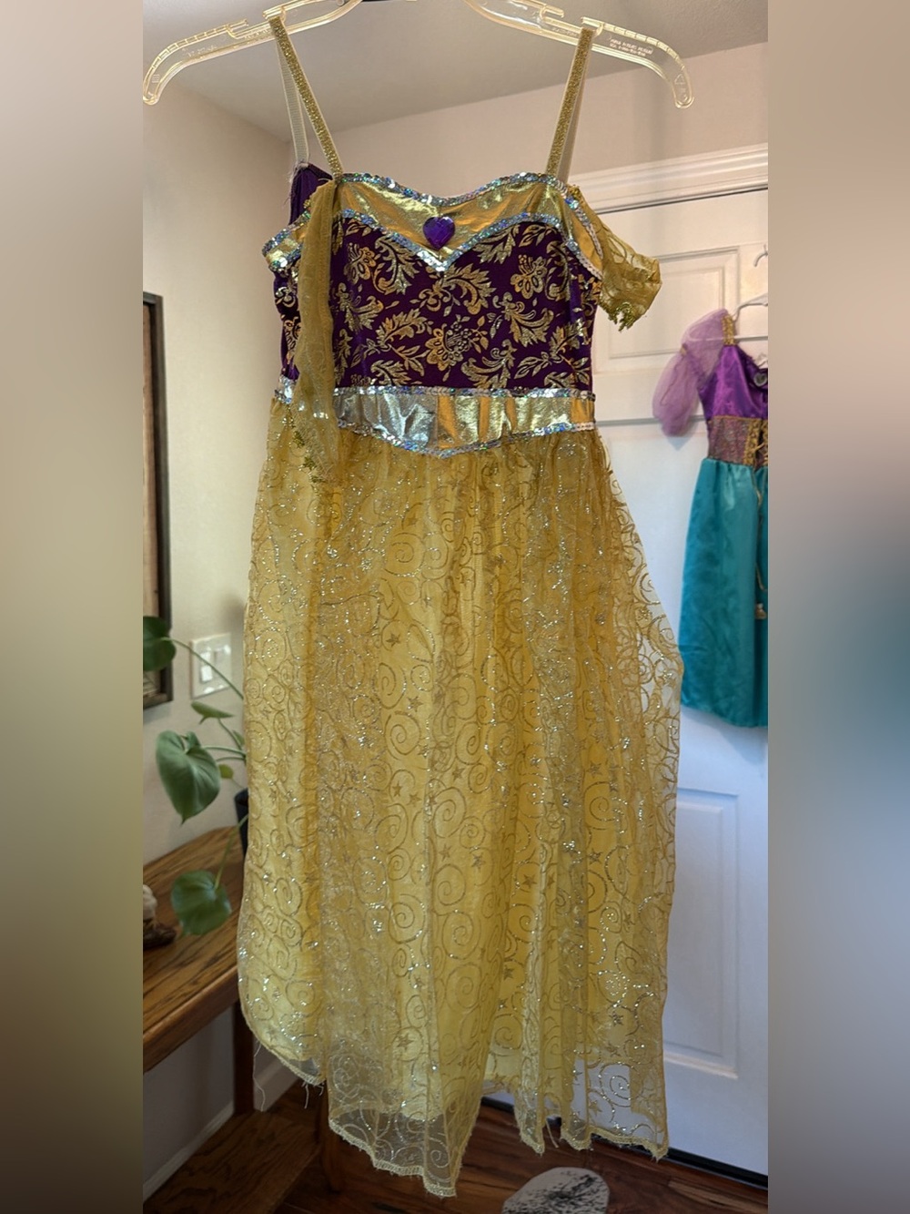 Girls Purple and Gold Princess Costume Dress